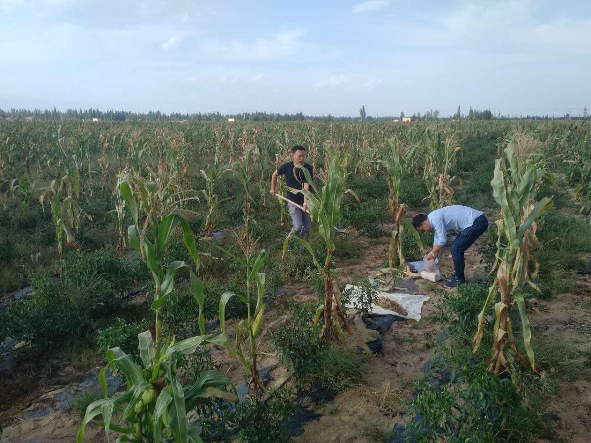 Z6·人生就是博(中国区)官方网站