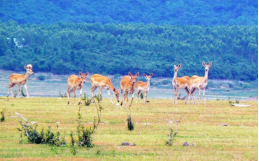 Z6·人生就是博(中国区)官方网站