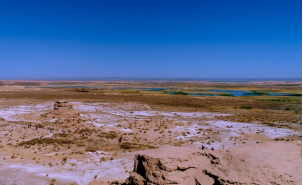 Z6·人生就是博(中国区)官方网站