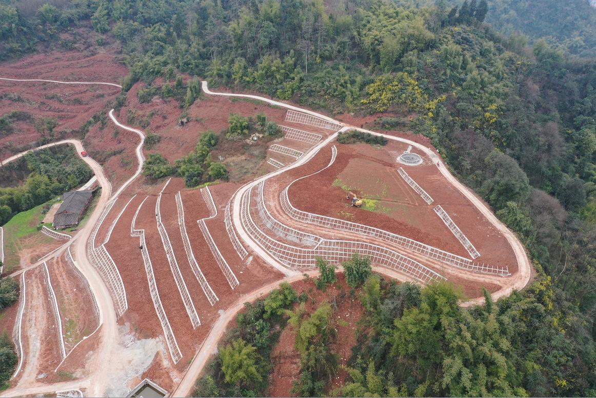 Z6·人生就是博(中国区)官方网站